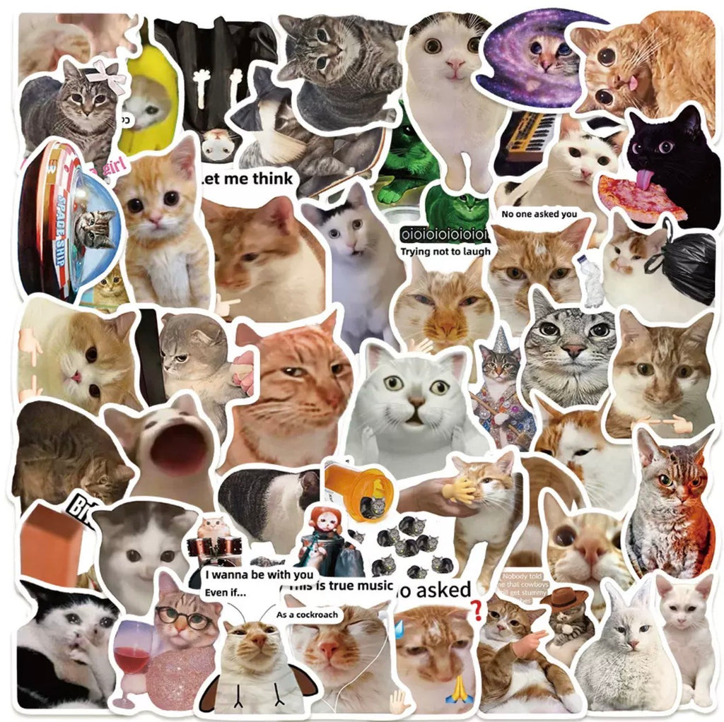 Funny Cat Meme Stickers Set