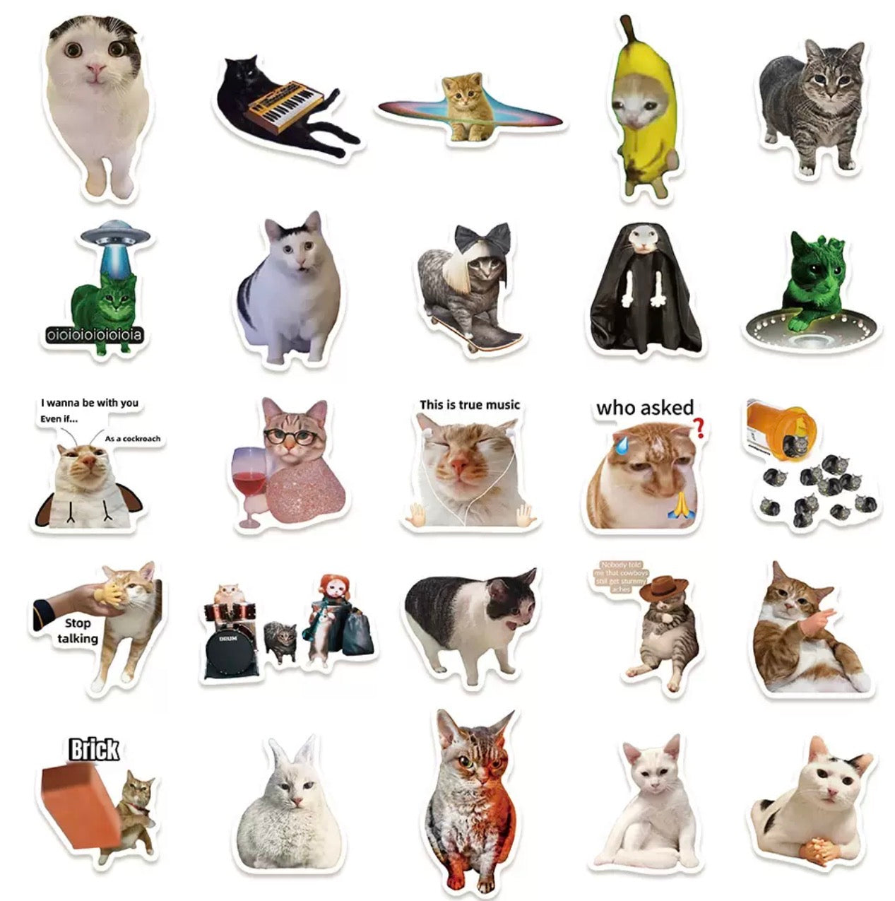 Funny Cat Meme Stickers Set