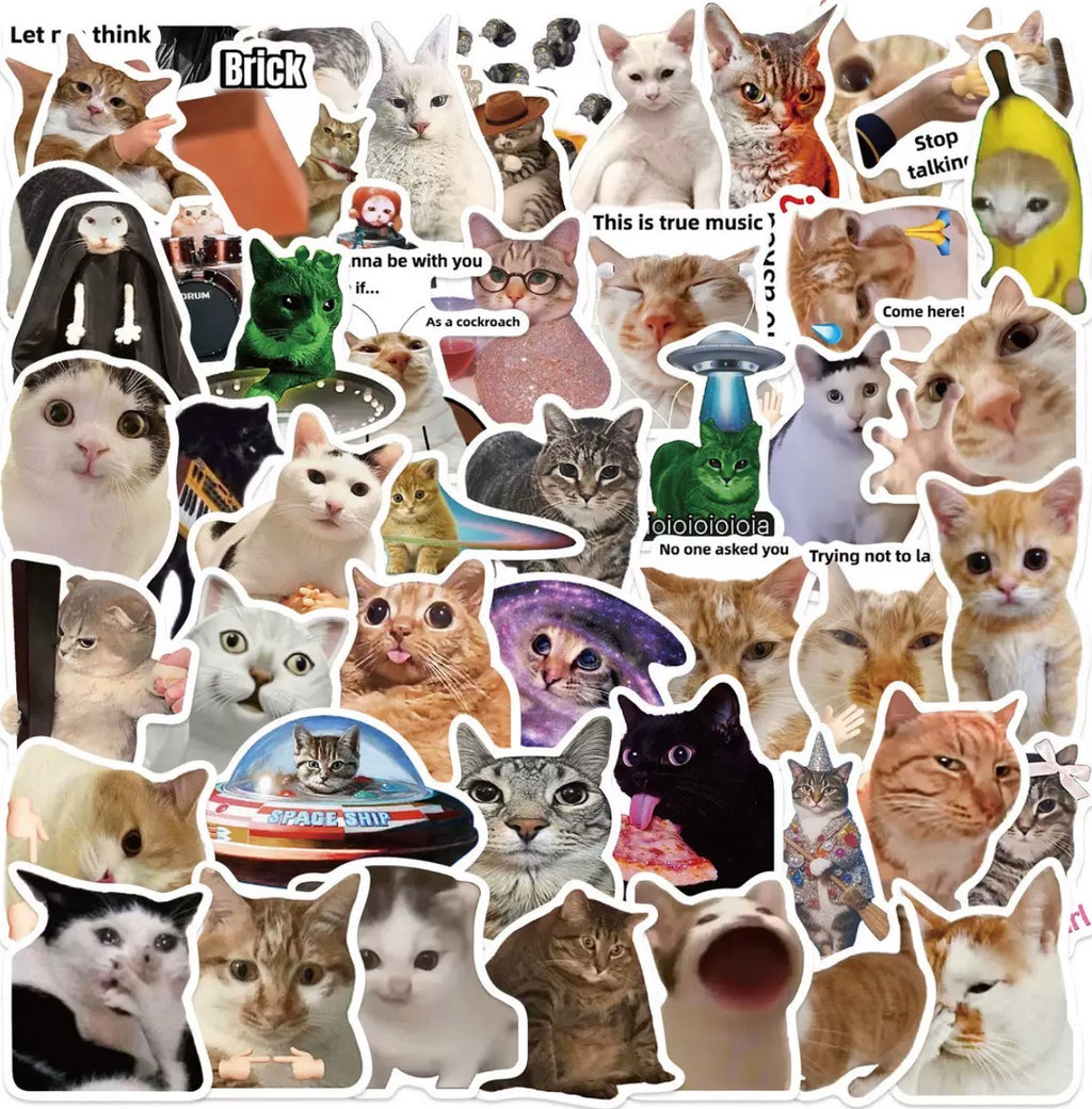Funny Cat Meme Stickers Set