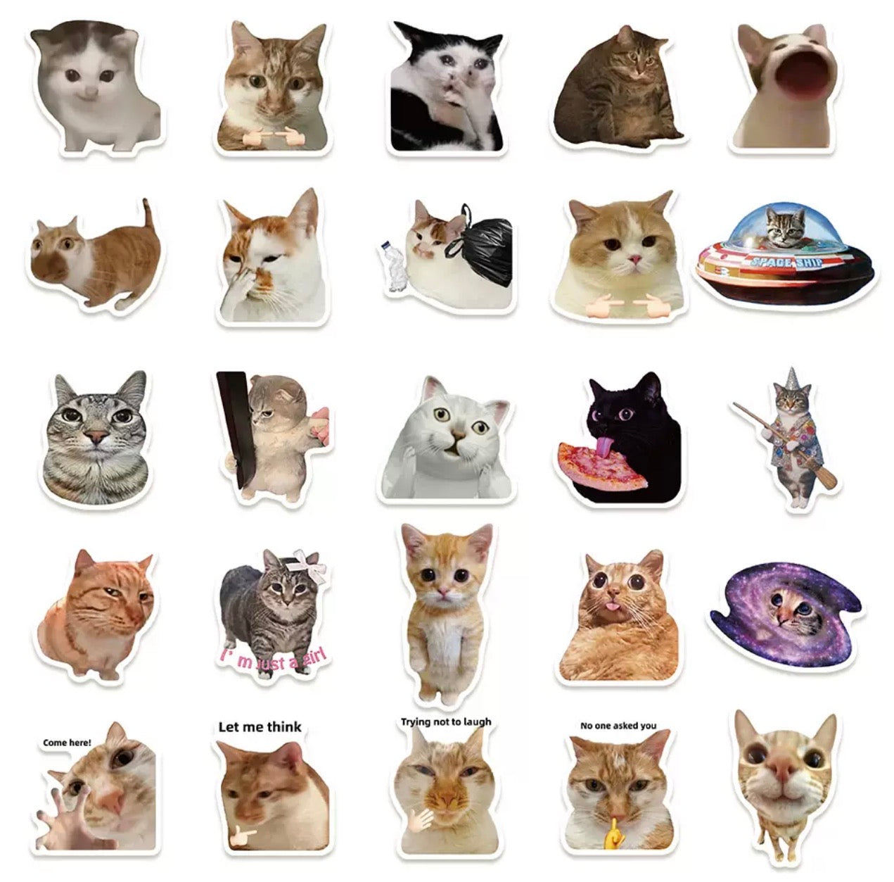 Funny Cat Meme Stickers Set