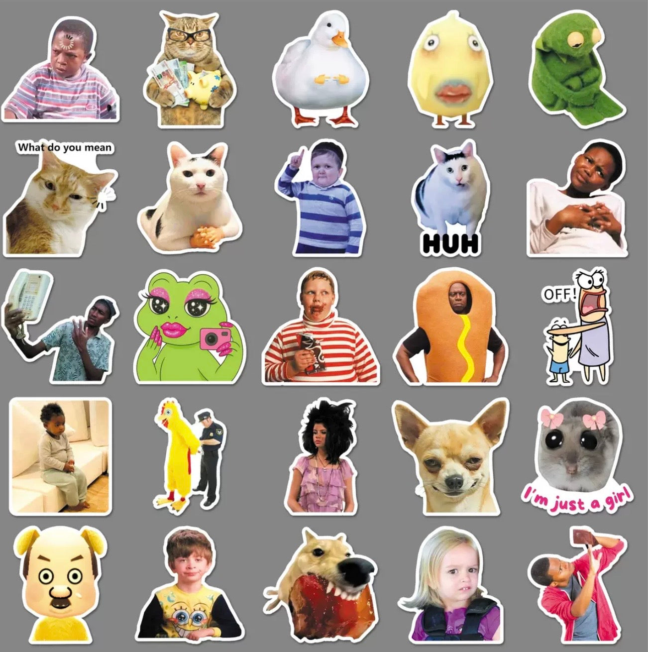 Funny Meme Stickers Set